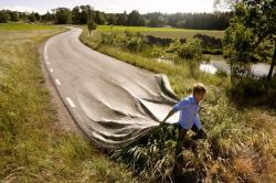 Украденная дорога в Курганской области