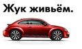 Премьера нового Volkswagen Beetle